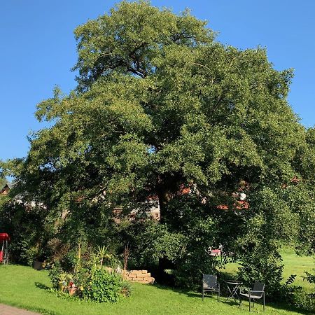 Ferienwohnung Am Rennsteig Bei Eisenach - Ilona Schmidt Wolfsburg-Unkeroda Dış mekan fotoğraf