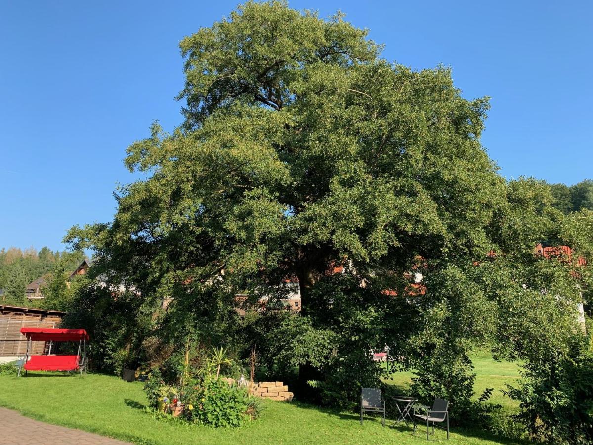 Ferienwohnung Am Rennsteig Bei Eisenach - Ilona Schmidt Wolfsburg-Unkeroda Dış mekan fotoğraf