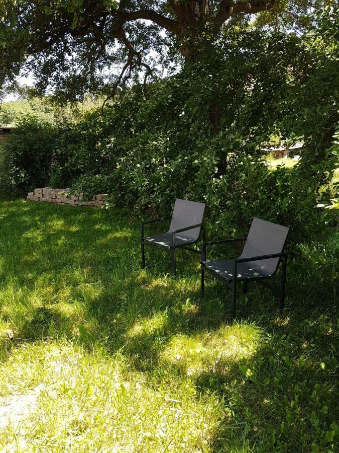 Ferienwohnung Am Rennsteig Bei Eisenach - Ilona Schmidt Wolfsburg-Unkeroda Dış mekan fotoğraf